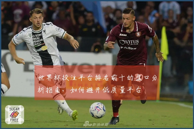 世界杯投注平台排名前十的盘口分析指南，如何避开低质量平台
