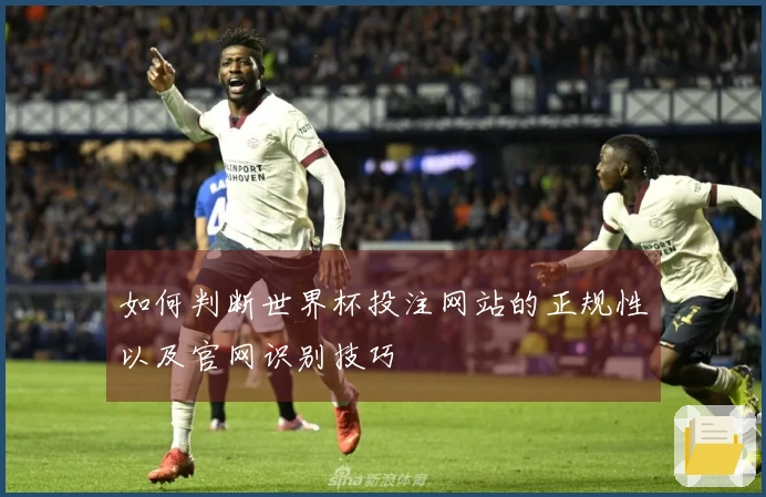 如何判断世界杯投注网站的正规性以及官网识别技巧