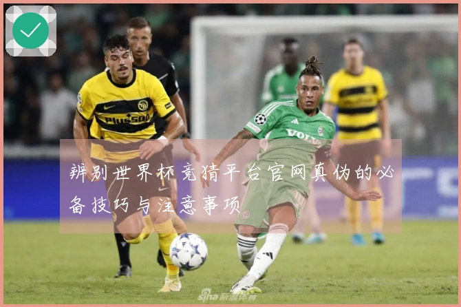 辨别世界杯竞猜平台官网真伪的必备技巧与注意事项